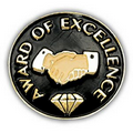 Award of Excellence Pin